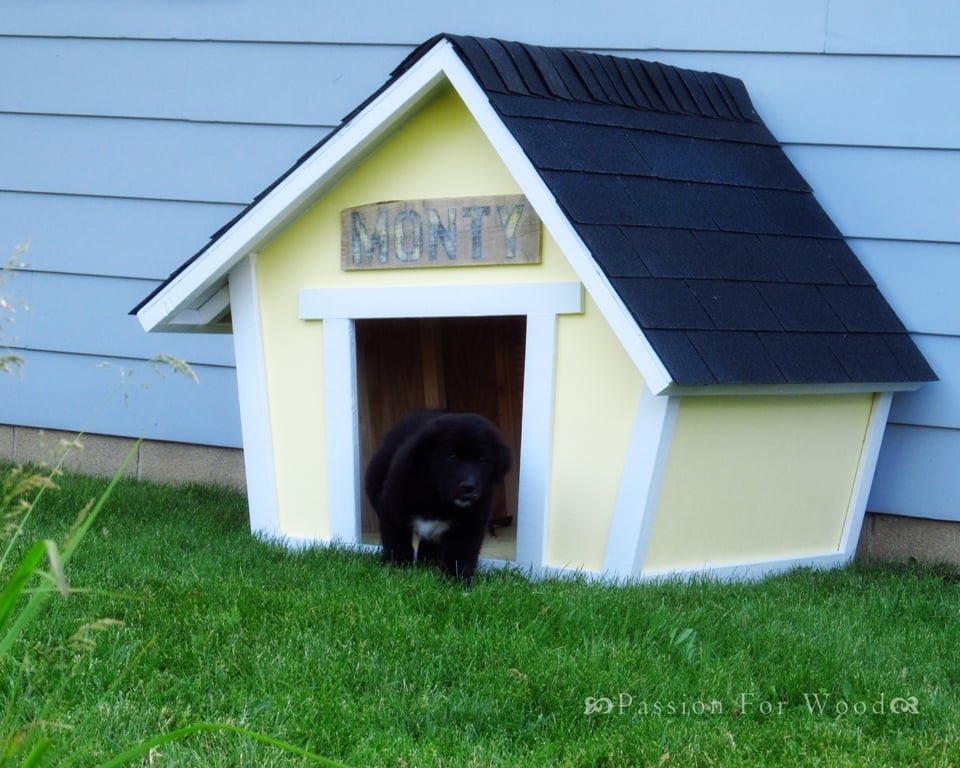 Crooked Doghouse
