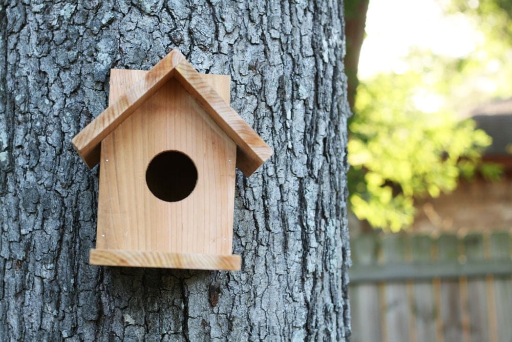 Birdhouse from One Cedar Fence Picket