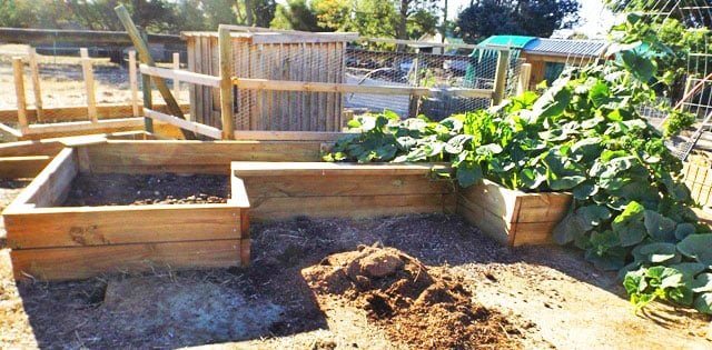 Dynamic Raised Garden Bed
