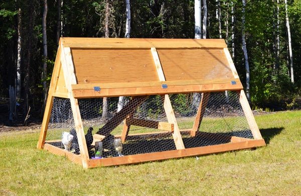 A Frame Chicken Coop Tractor