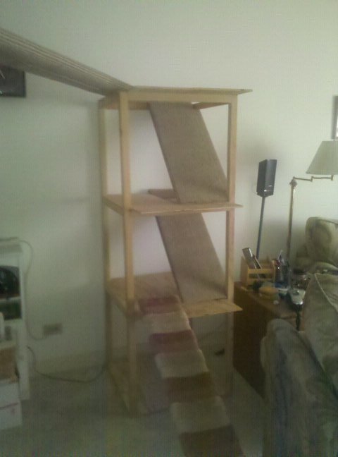 Kitty Tree — step 9