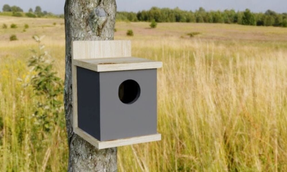 Modern Cedar Fence Picket Birdhouse Kit