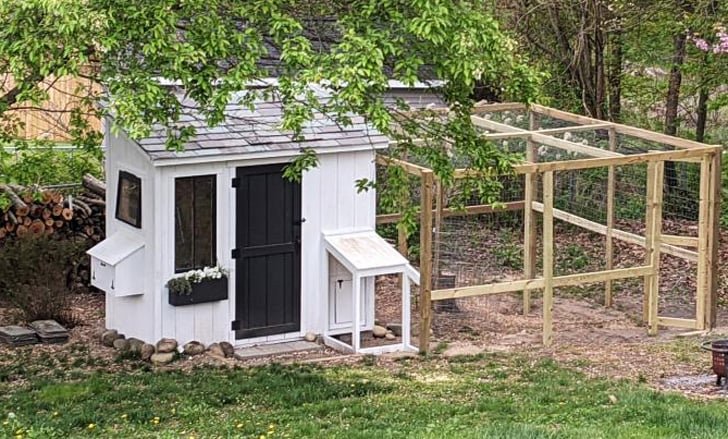 Shed Chicken Coop