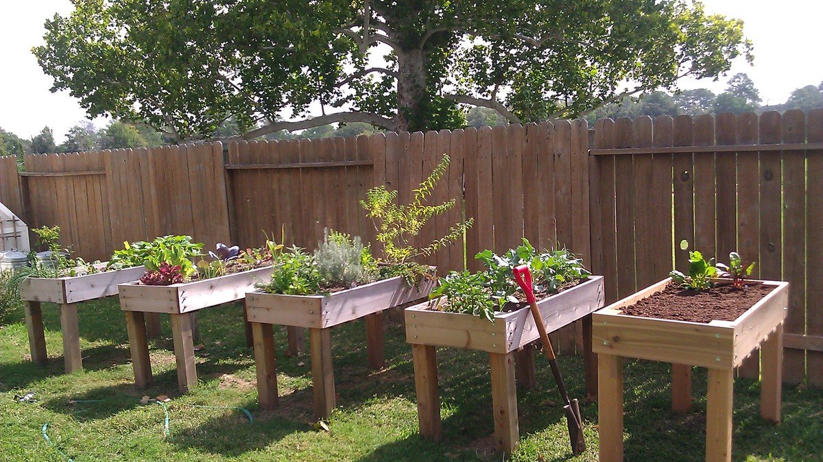 Simple Raised Garden Boxes by Janet Fox — step 10