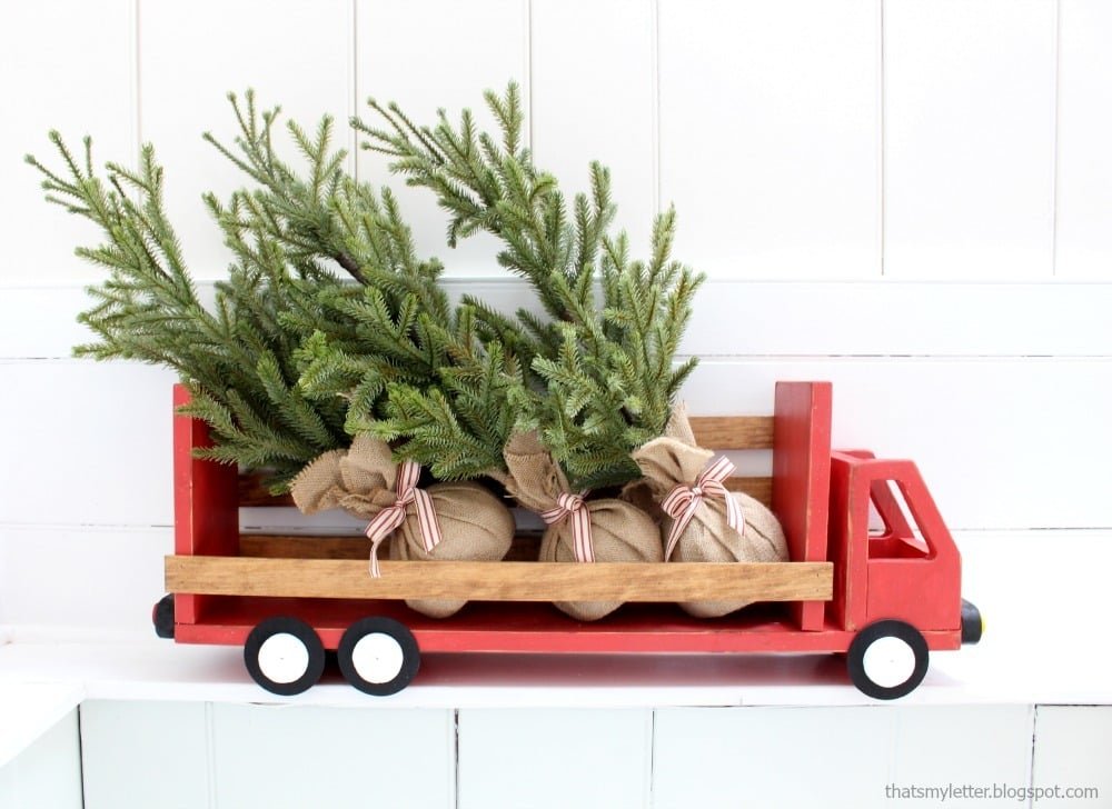 Truck Shelf or Desk Organizer